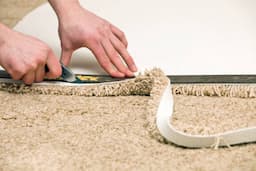 Revive Your Carpet: Expert Tips for Repair and Restoration to Restore Comfort and Style