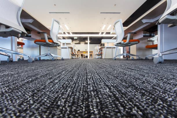 Expert Carpet Cleaning Services in Bronx, NY